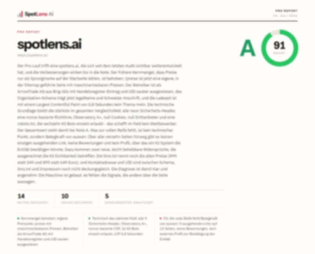 Ausschnitt aus einem echten SpotLens Audit-Report (Seite 1)