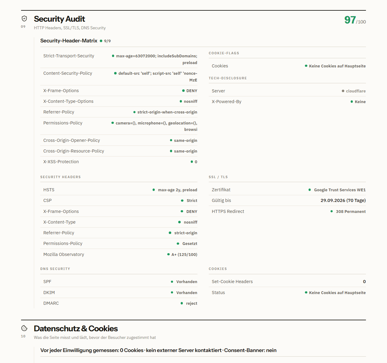 Ausschnitt aus einem echten SpotLens Audit-Report: Sicherheit & E-Mail